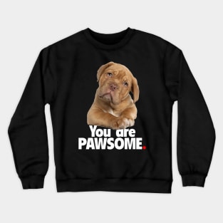 You are PAWSOME - Dark Crewneck Sweatshirt